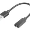 Adattatore USB (M) a Type C (F) 15Cm