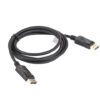 Cavo Displayport M/M 5Mt
