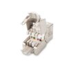 Frutto Keystone RJ45 Cat 6 Schermato
