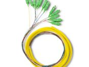 Pigtail 12x SC Monomodale G652D 2Mt