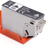 Epson Cartuccia Comp.T202XL Bk Photografica