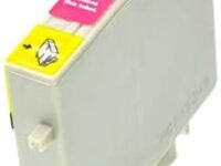 Epson Cartuccia Comp.T0443 Magenta
