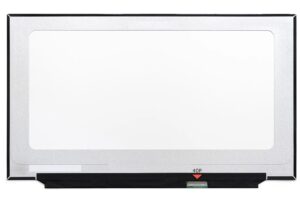 Display 17.3" FHD 40 pin